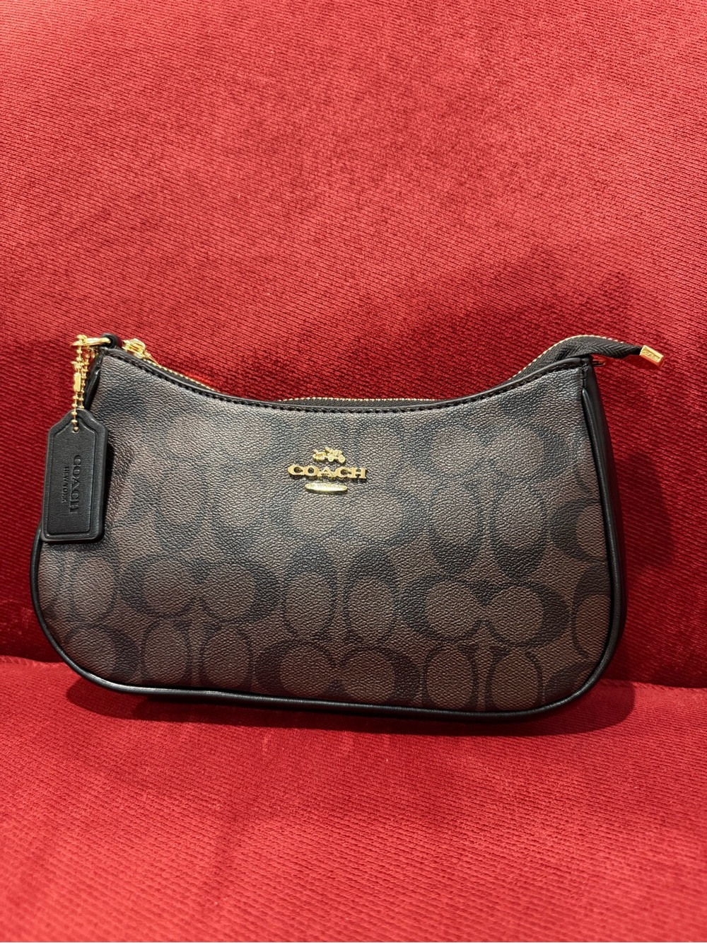 Coach Teri Shoulder Bag in Signature Canvas Brown & Black